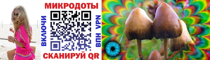 Купить  Хасавюрт  Галлюциногенные грибы Psilocybe